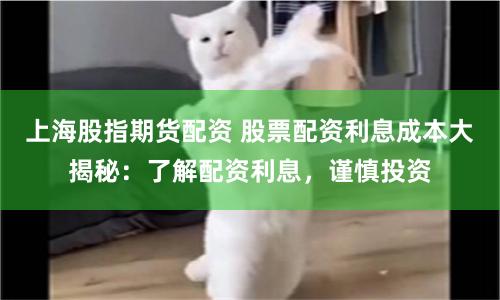上海股指期货配资 股票配资利息成本大揭秘：了解配资利息，谨慎投资