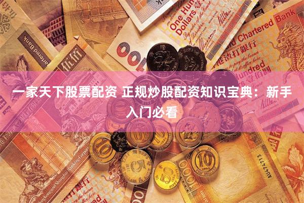 一家天下股票配资 正规炒股配资知识宝典：新手入门必看